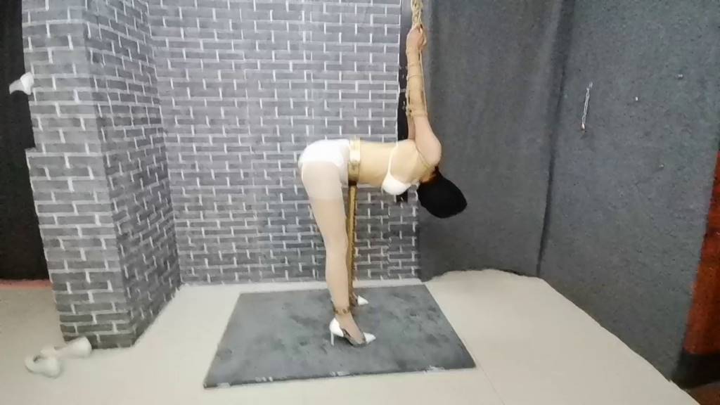 欧式金属风雅思固定，直臂反吊，十层网袜包头-2