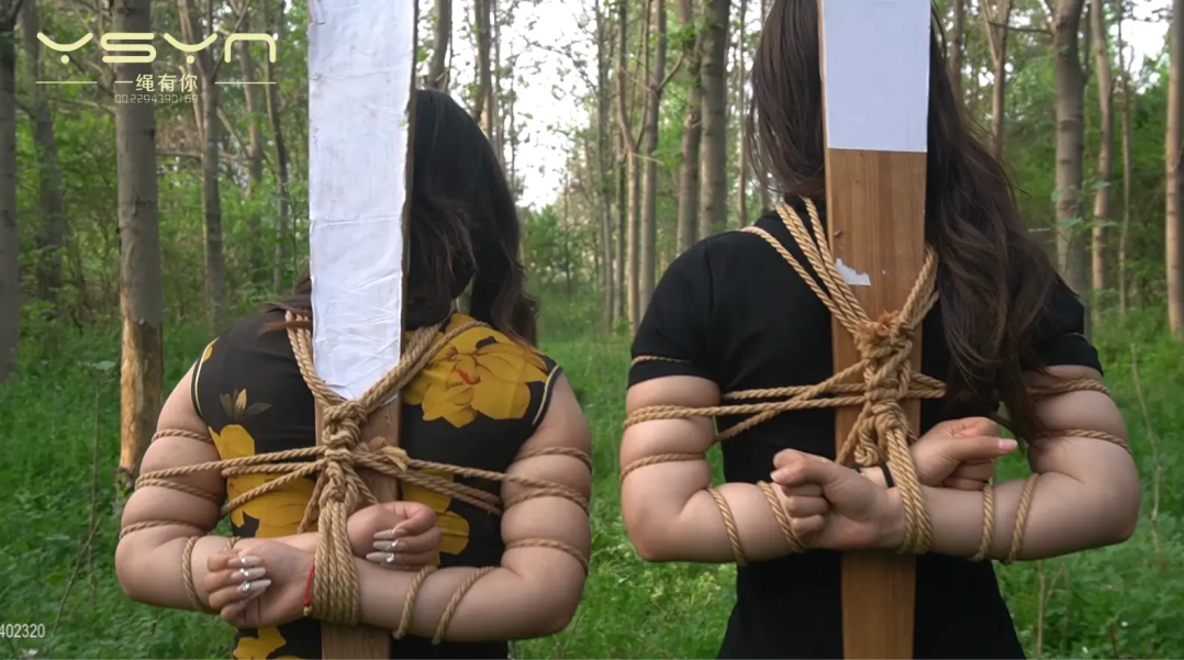 【苏氏姐妹】情报员苏氏姐妹苏瑜苏婉不幸被捕关押牢房刑房审讯上大刑视死如归赴刑场-3