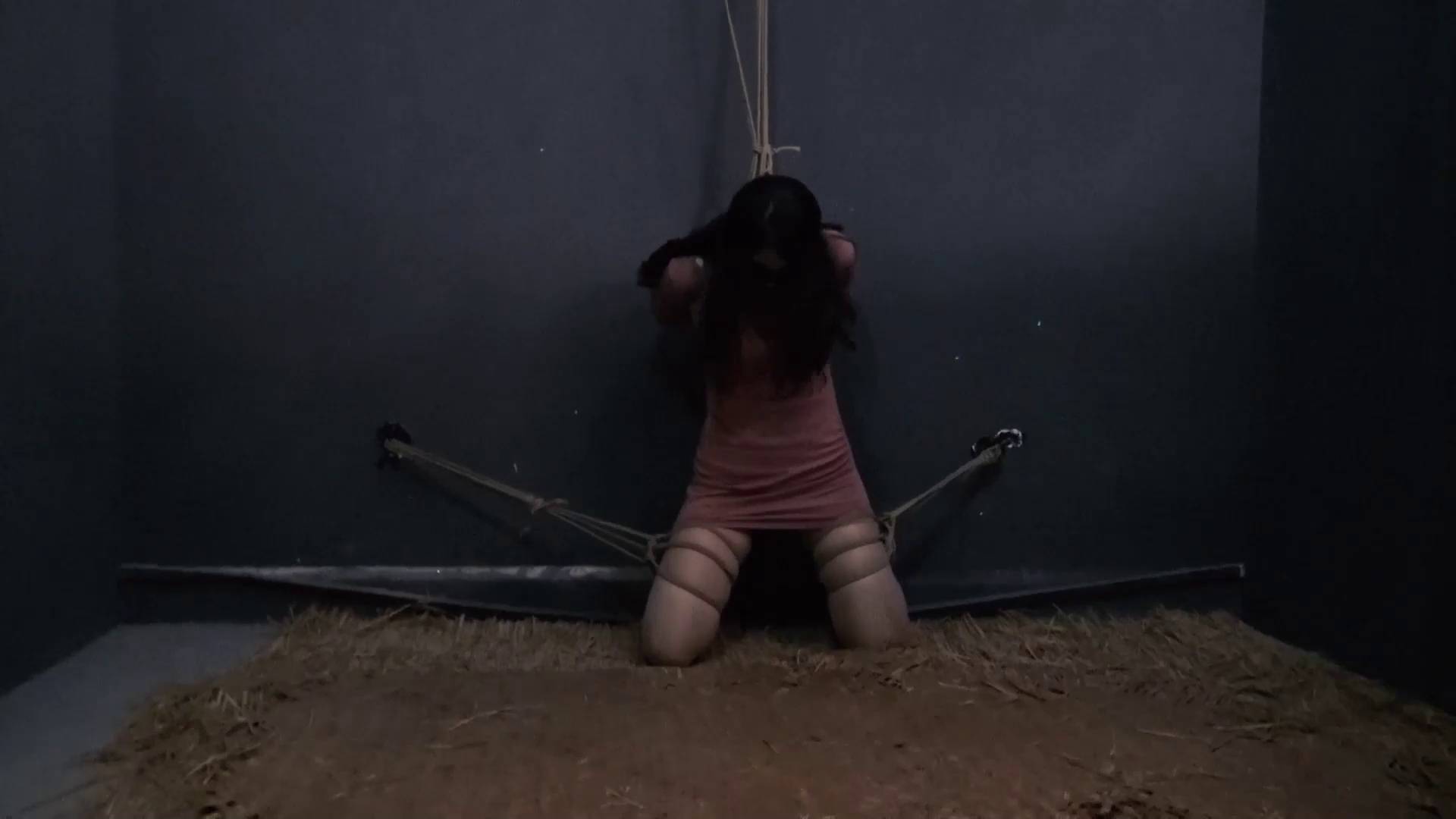 8fe768953a06dc7a7bb5a16627756f22