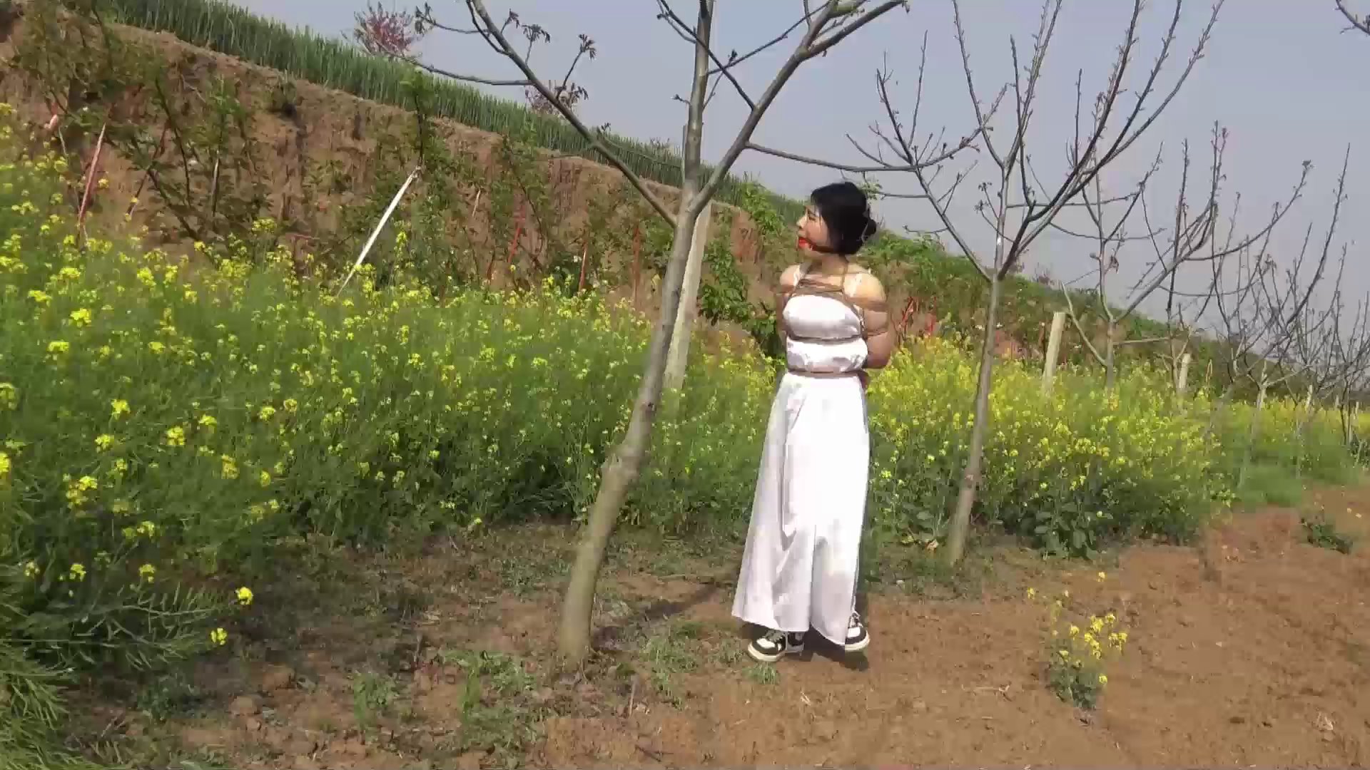 968b4f2f0ace4919518f2991ff33117f