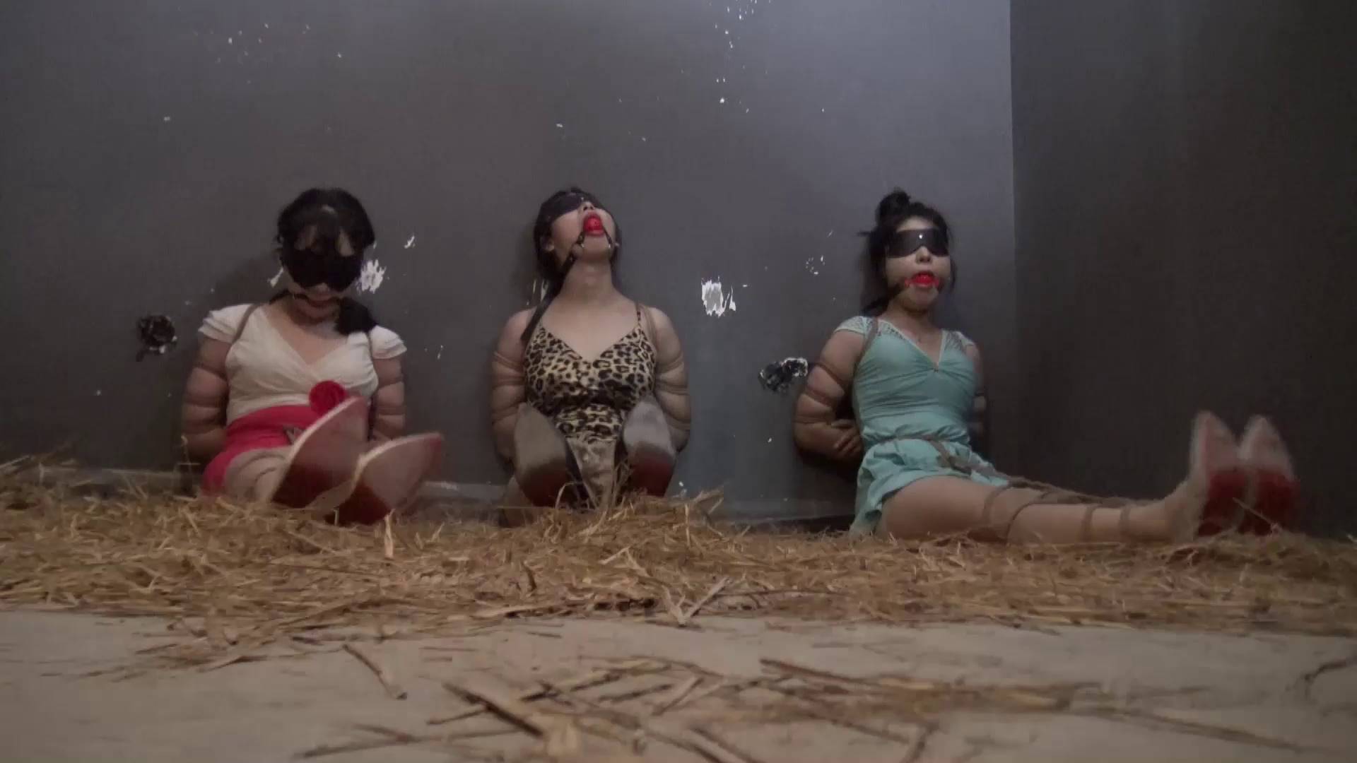 98fd39dcb570e6d42b71bad8cc5ea6d7