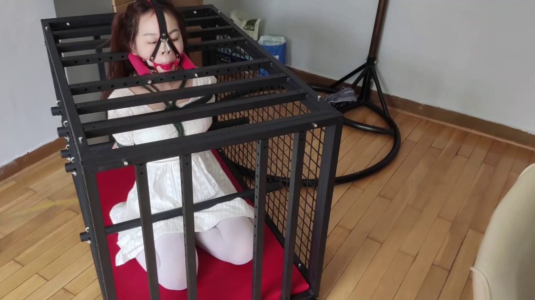 白裙妹子珊珊的铁笼跪缚，金属棒固定身体与头部，鼻钩马具口球联动-8