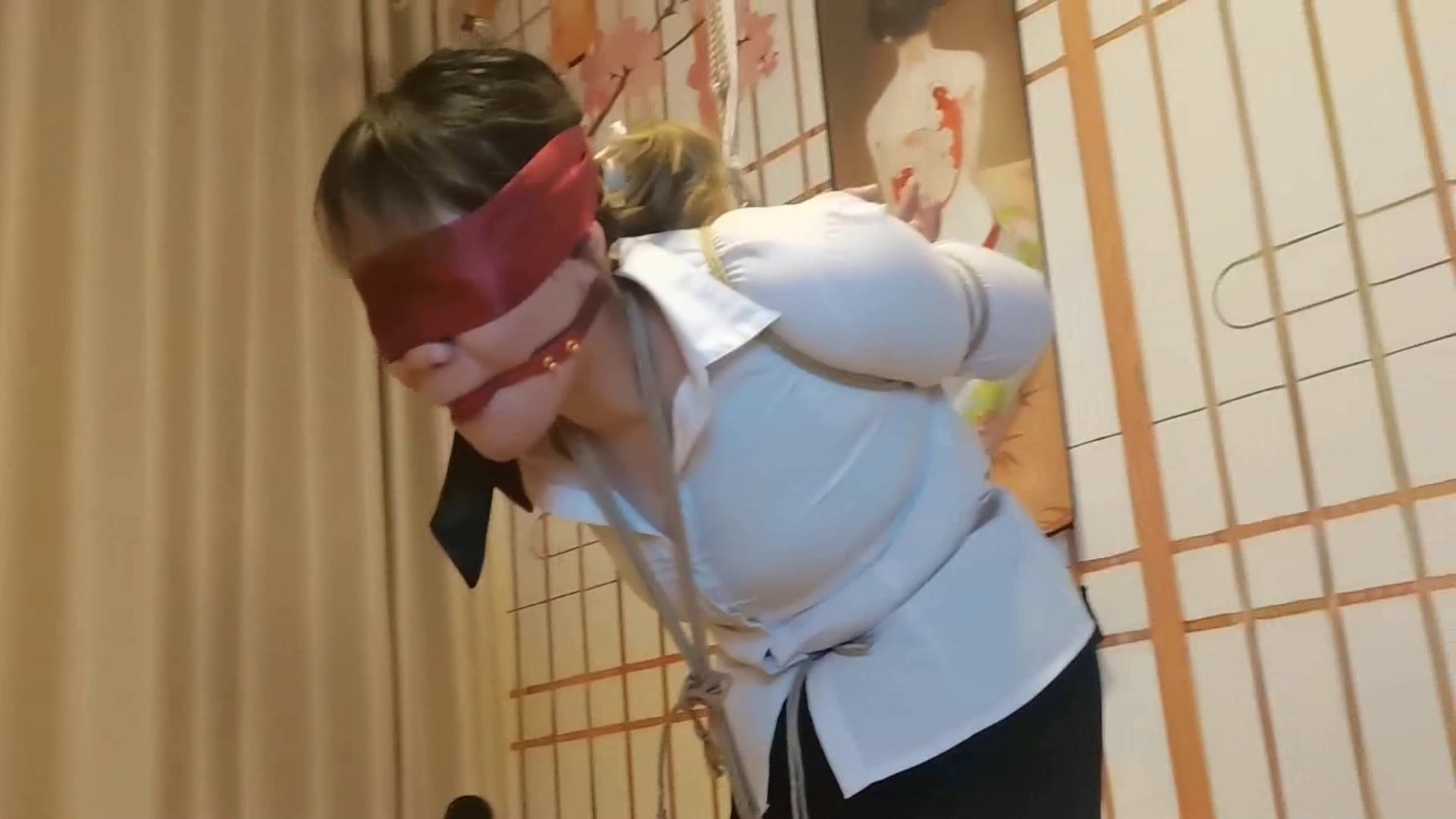 a5523bf07ca2038b2d609e41a74b2234