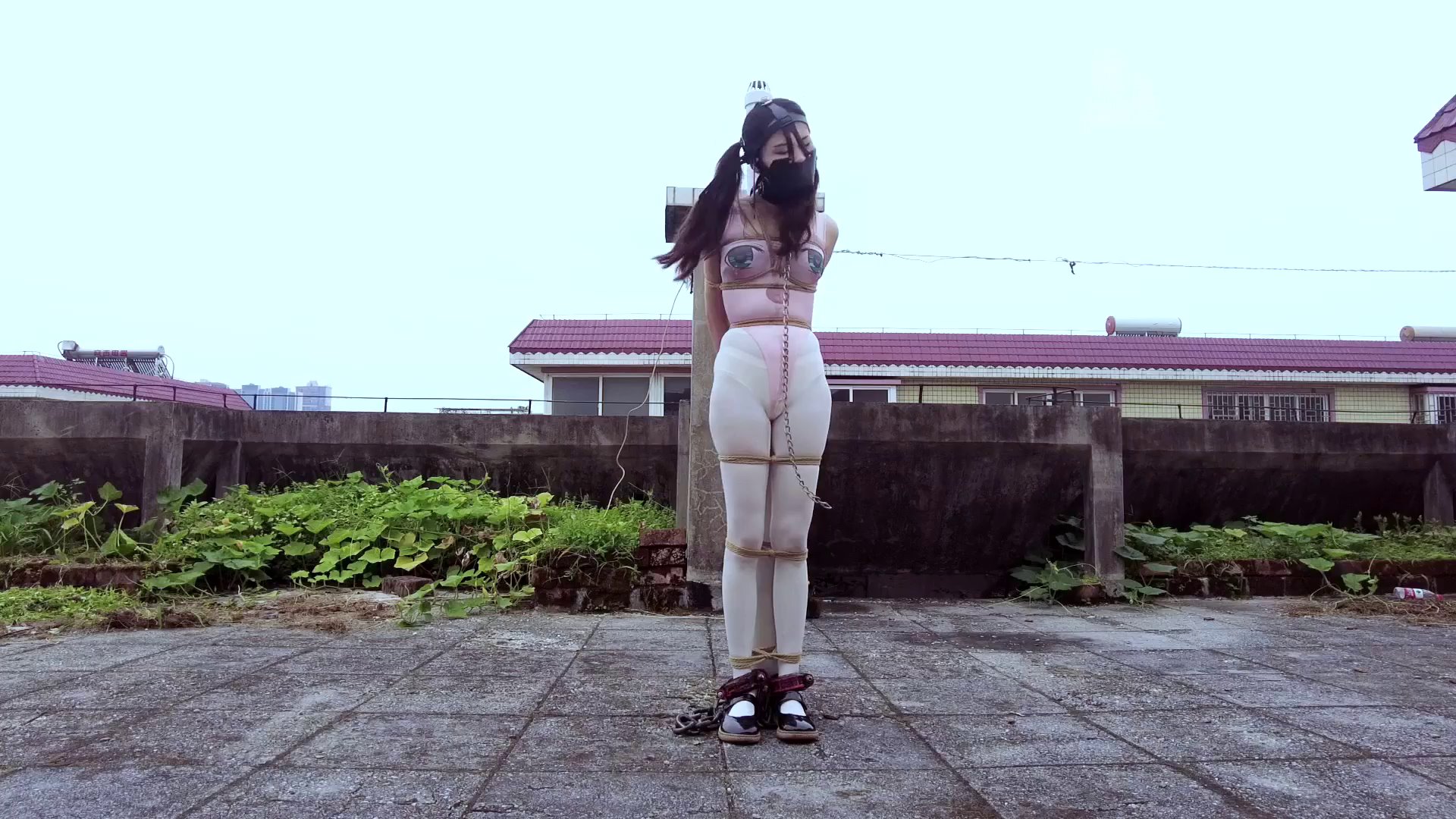 a5a22bc39151ff93a588d91cd868f75b