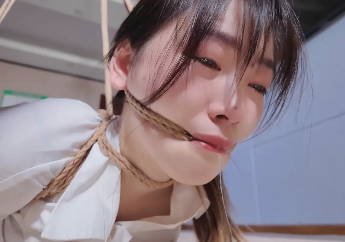 a5ab5f5f39d68fa7dfd23354bceda591