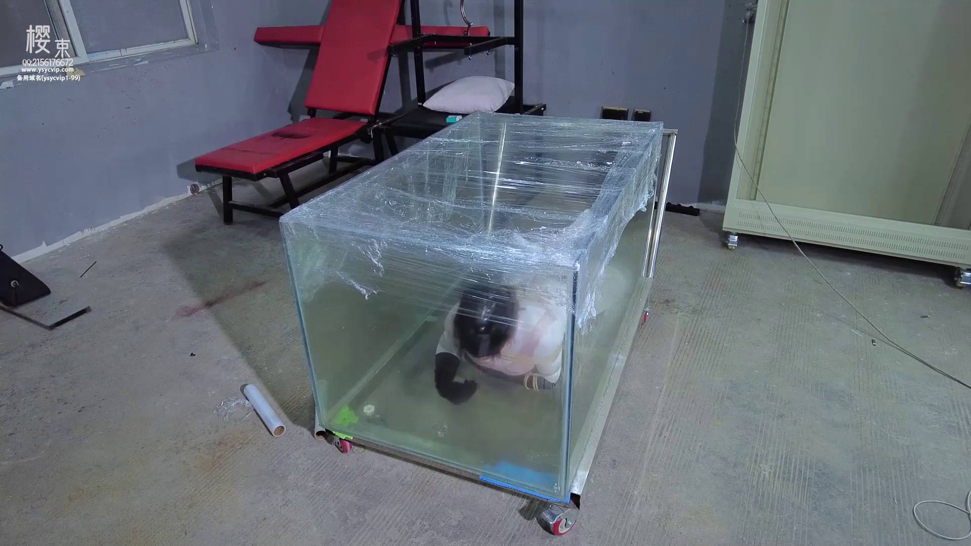 a5cd9dff75f1d1404c01e3bfc2affc87