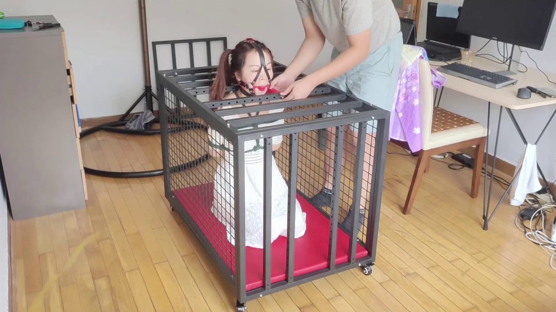 白裙妹子珊珊的铁笼跪缚，金属棒固定身体与头部，鼻钩马具口球联动-4