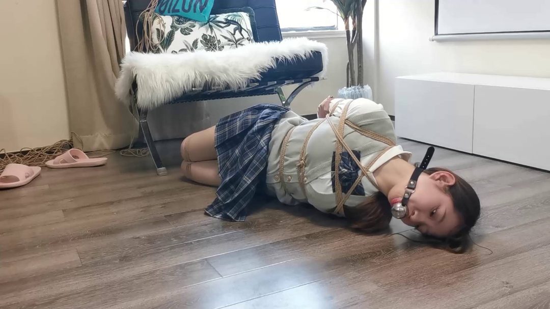 定拍珊珊驷马放置-8