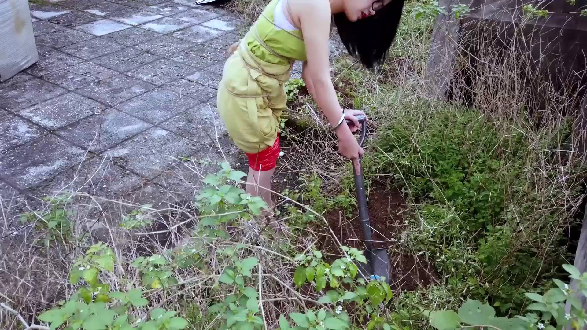 af4a8ece9c72e696b732e0e3087966c1