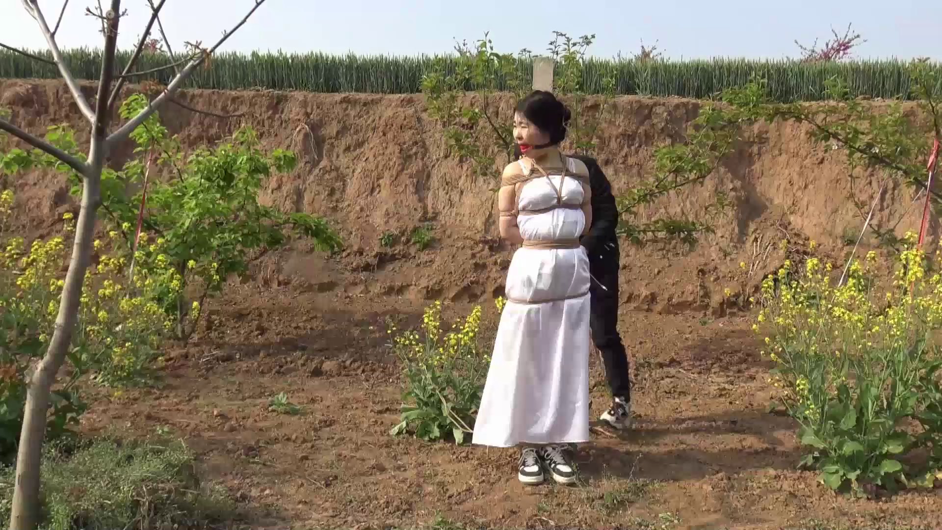 b0d276299c91de136af0eff940fba86c