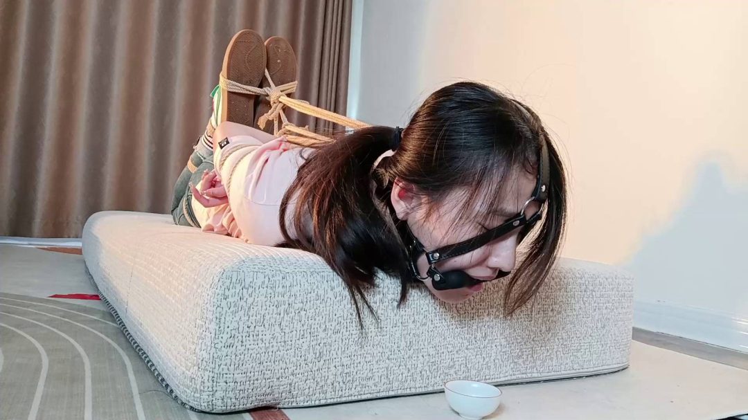 眼镜学姐文静裤捆绑游戏第三季-2