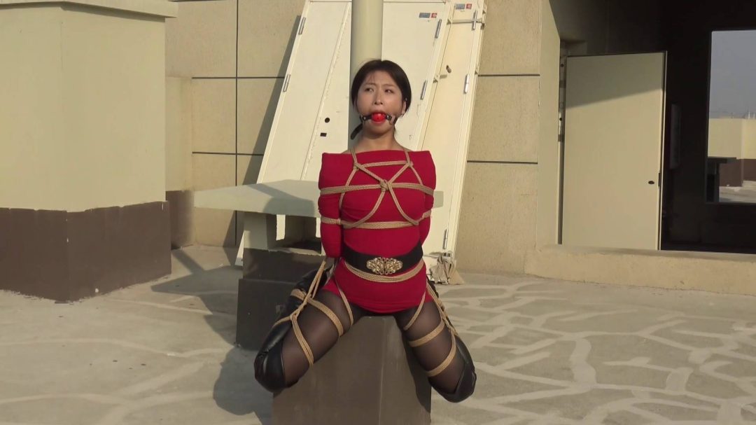 楼顶上的紧缚风采-6