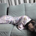 嗷嗷-如何教训偷钱的妹妹！