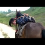 苦斗 – 于静 冰冰 小雨