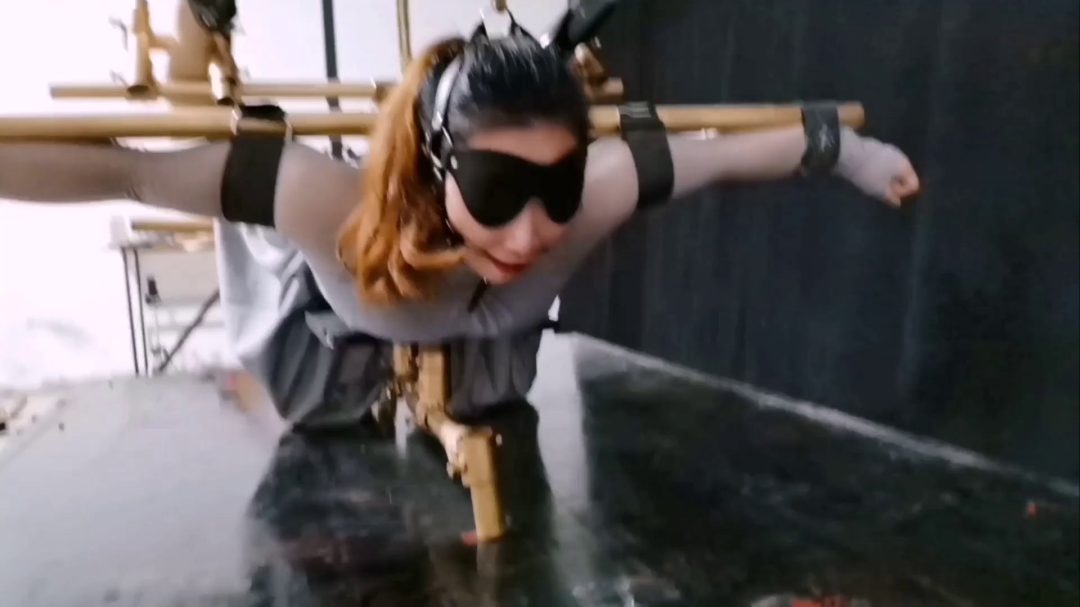 为梦涵精心设计一款多功能K9架-1