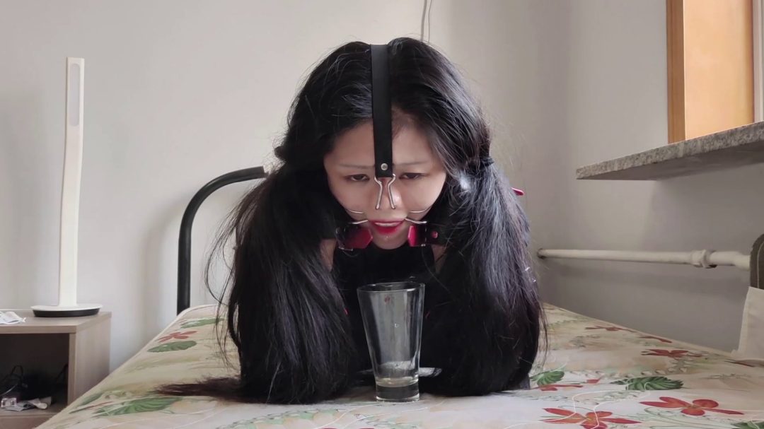 人形犬诺诺 马具口球堵嘴 小舔犬口水收集-7