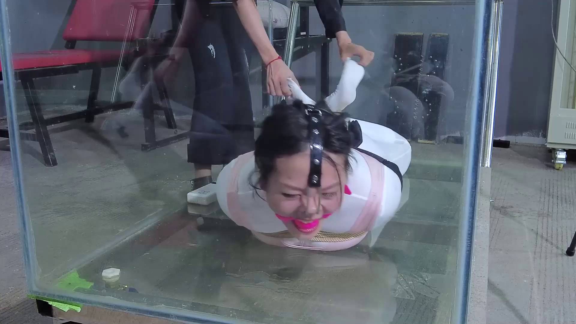 ba413173f8a12be360b9da1ac81247ae