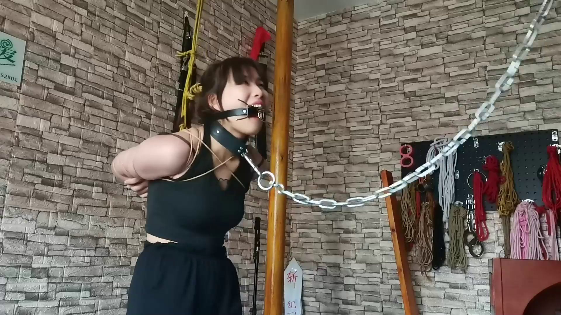 bc759f290ccd60ef4508d7ae9852a024