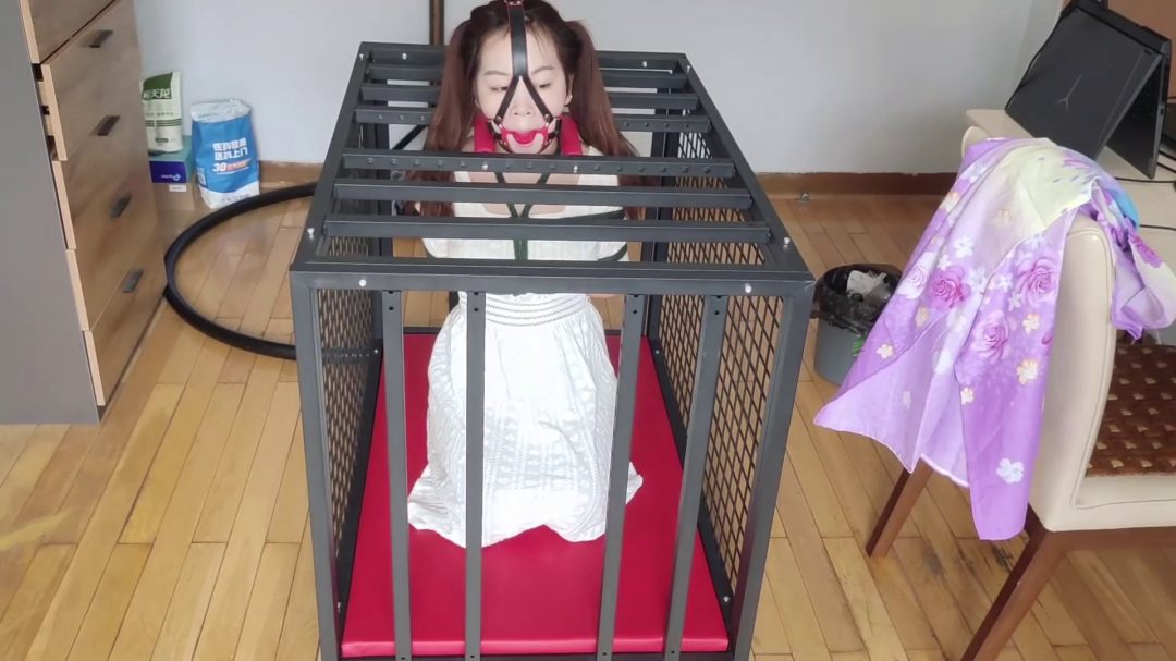 白裙妹子珊珊的铁笼跪缚，金属棒固定身体与头部，鼻钩马具口球联动-5