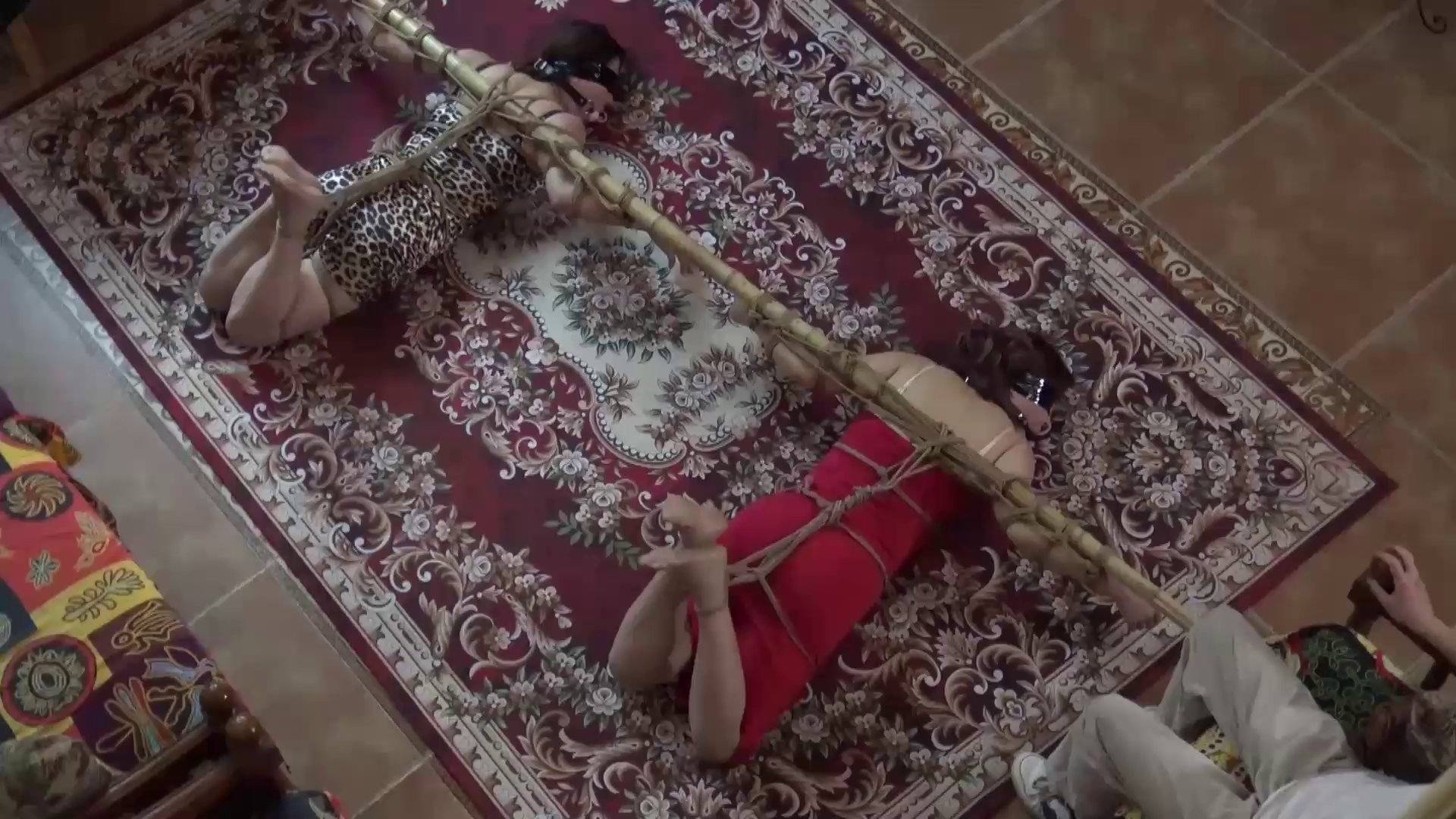 c4d8c14838745d86c5eeeb26e24a008e