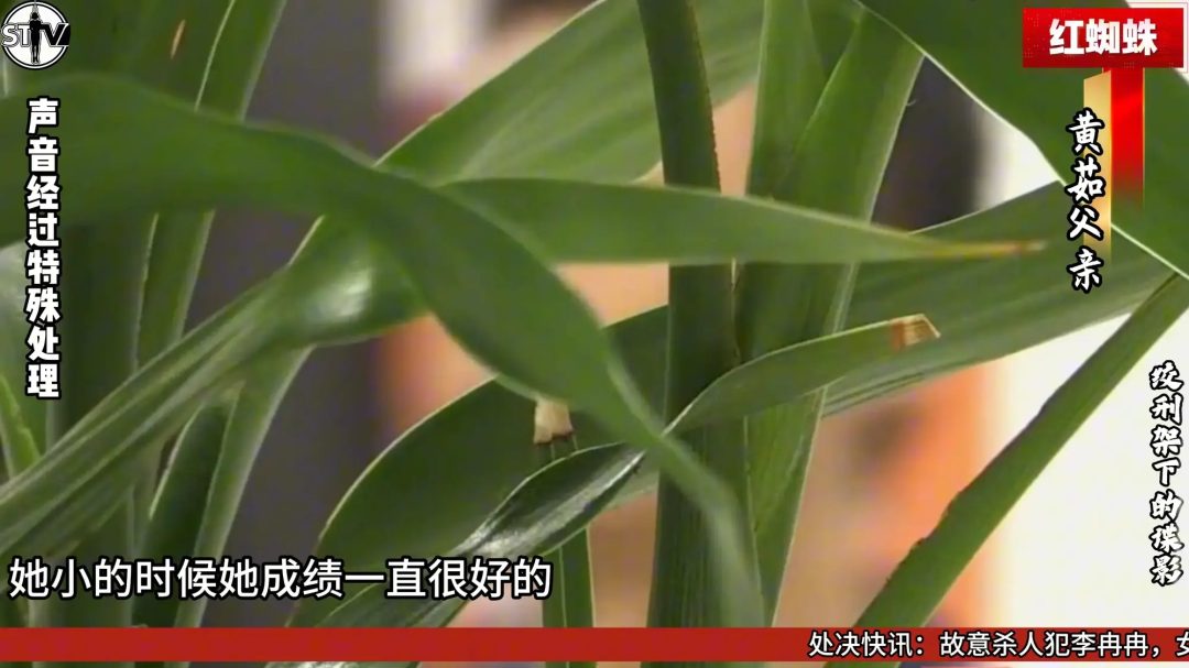 【玄武orz 】【2026开年剧情大作】斯特兰奇法制电视台《红蜘蛛》第一集——绞刑架下的谍影-4