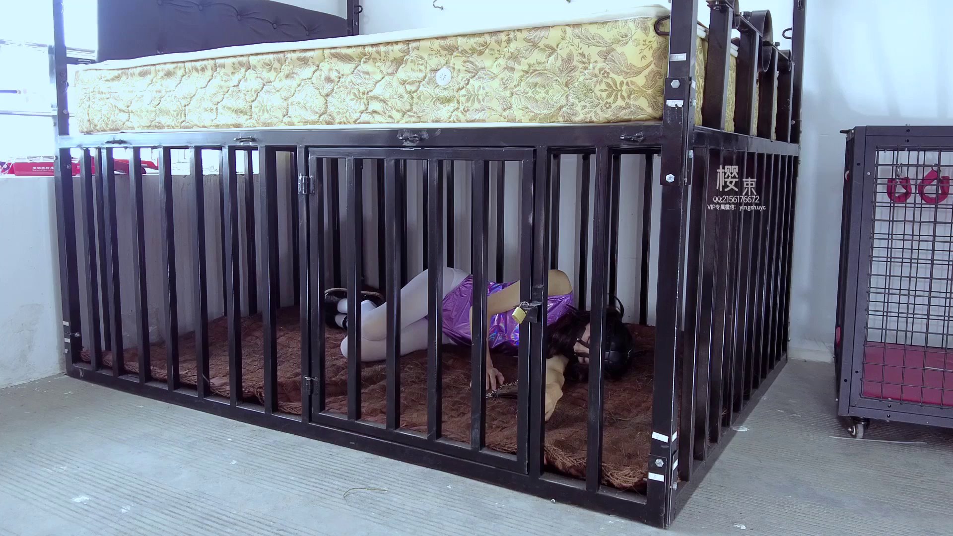 c9c605ab91c6448436ed09fd4e8a2584