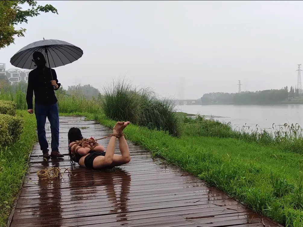 cf88d6dc41b2f22c8da6c25750f3e144