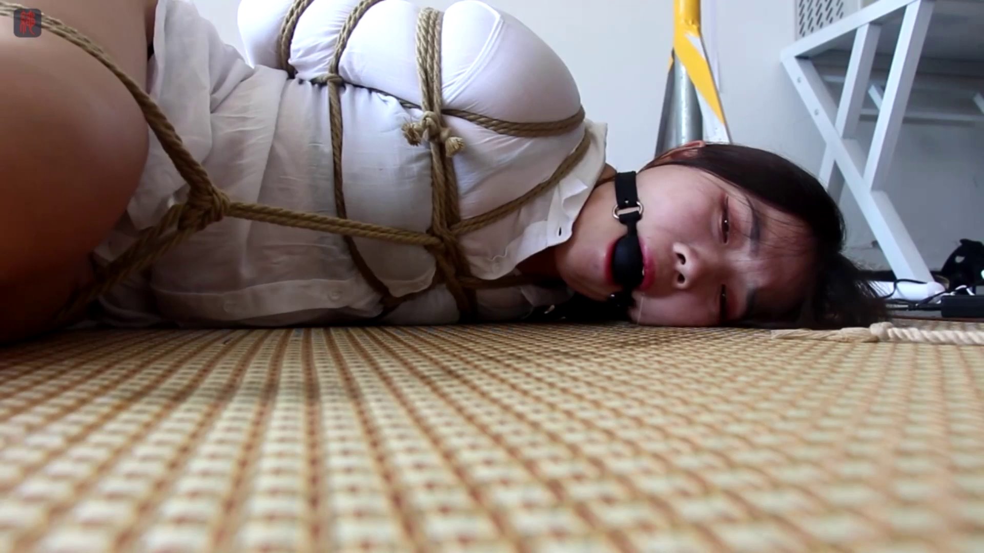 cfe0eed31bc22499586146208354c3fa