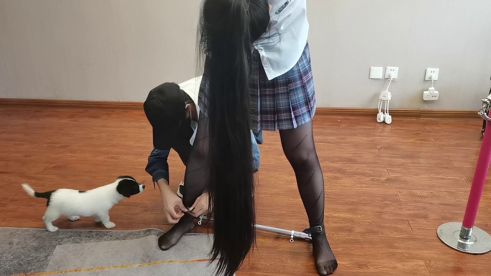 d16e0dbbd13d821d75965dbd5e945396