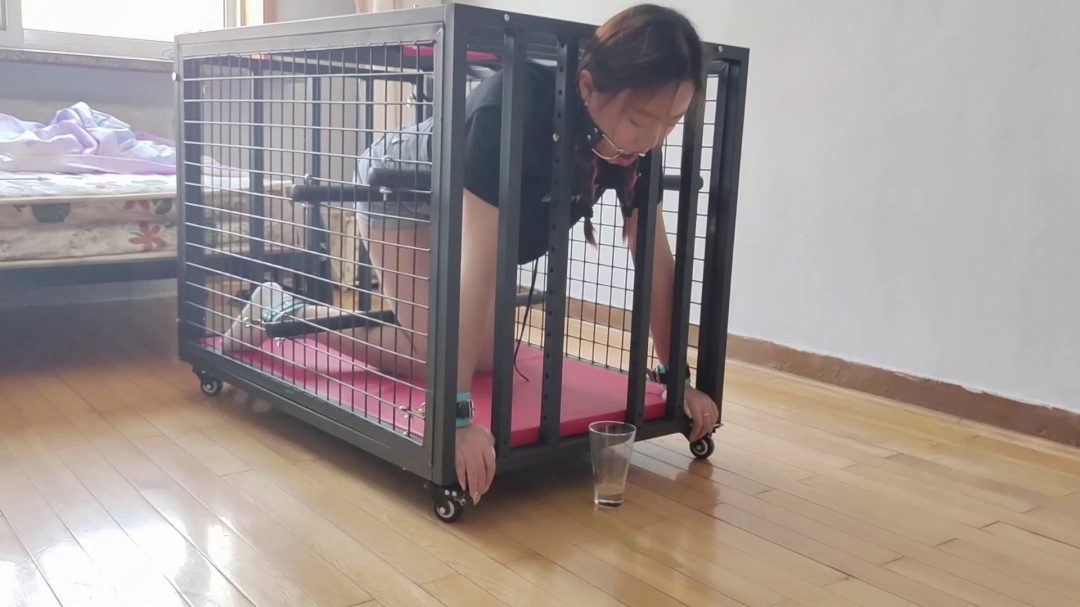 新玩法狗趴式口水囚徒瑶瑶妹，白棉袜铁笼囚禁，口水爆量无法控制-5