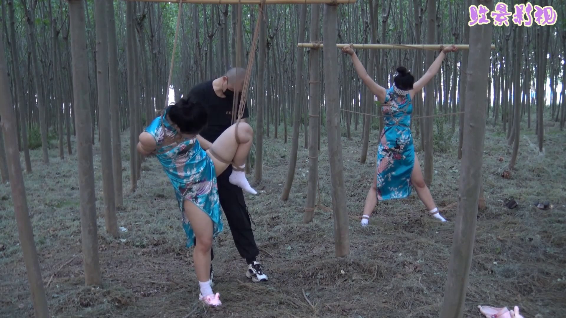 d90b6d0fb9fedfbced71cab73e4ca6d5