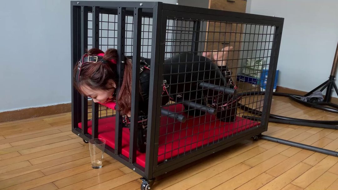 人形犬之铁笼囚禁！胶衣马具口球收集口水，sptk-8