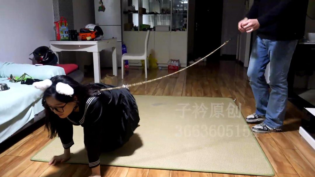 定拍叶子 镣铐 K9训练-3