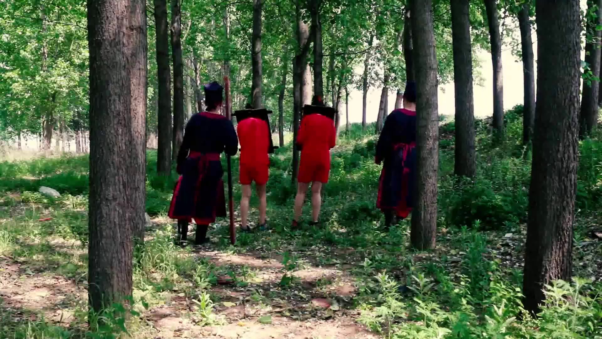 dd51ba553759f5a9492a9bae75657954