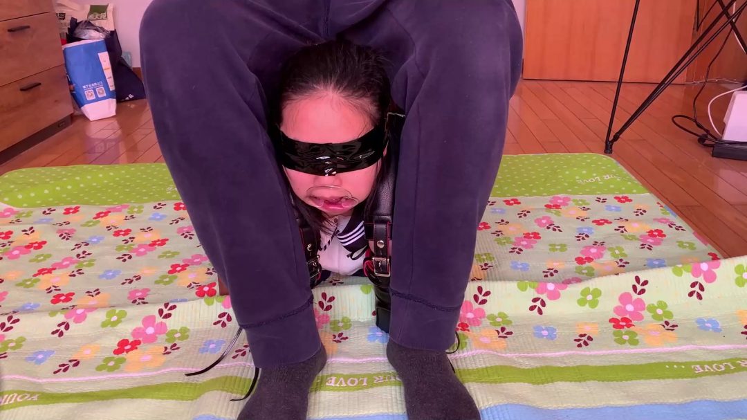 人形犬调教实录，牵引胯下爬行，椅下玩舌sptk踩踏-5