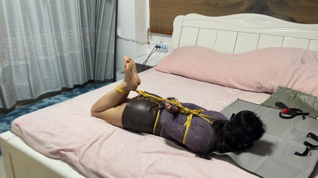 金垚创作 紫色最有韵味，包臀裙驷马蒙眼放置，行李袋麻袋挣扎-1