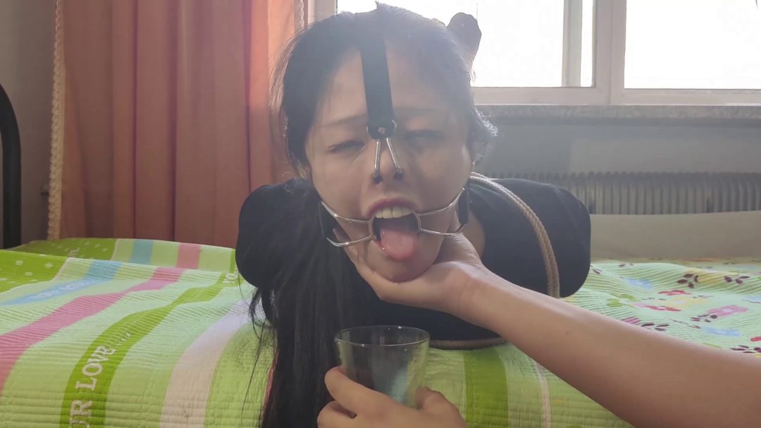 诺诺登场，喉舌口水收集，欧式驷马-1