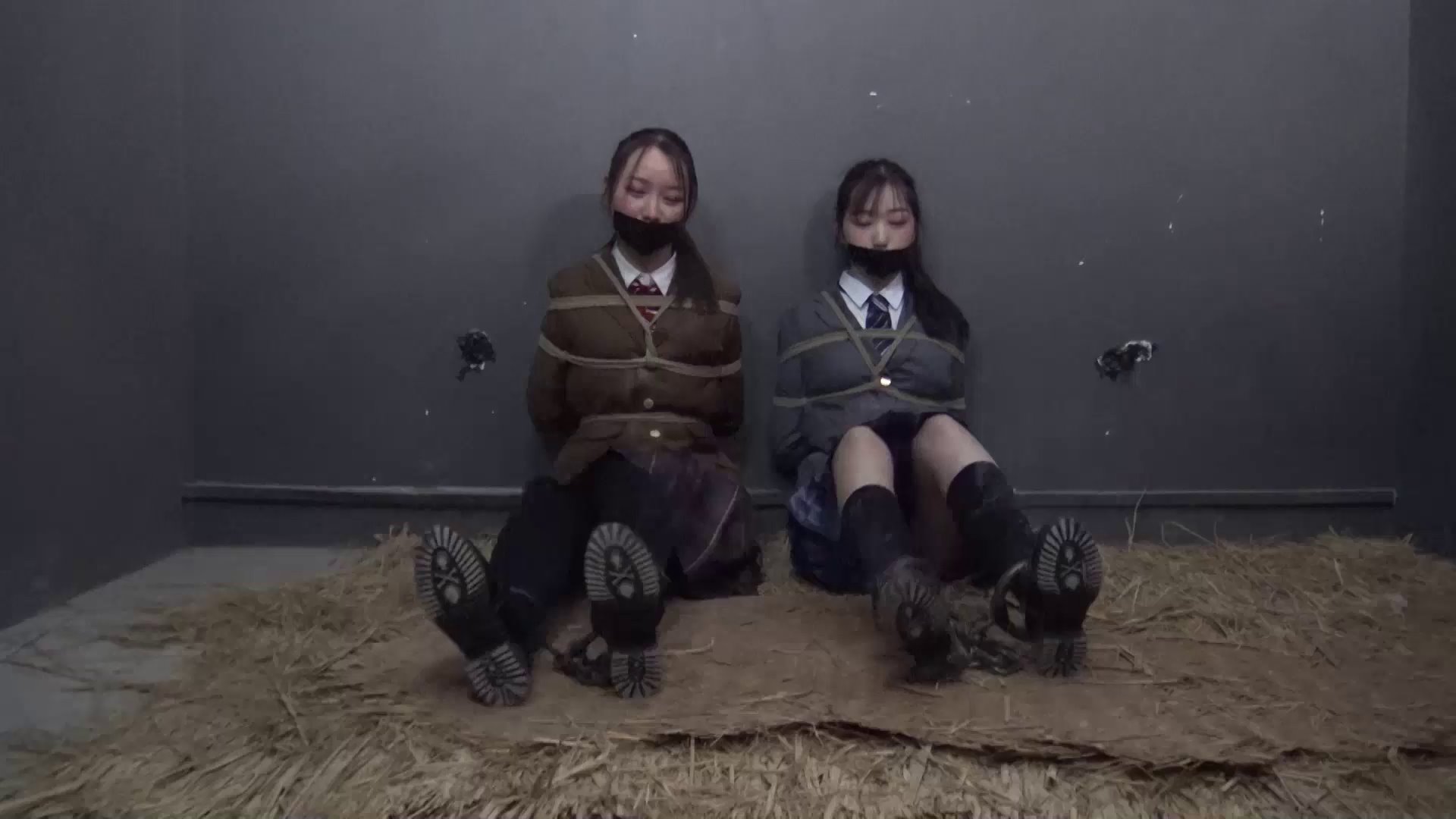 e5744f4a1fa2499710653e8171bec551