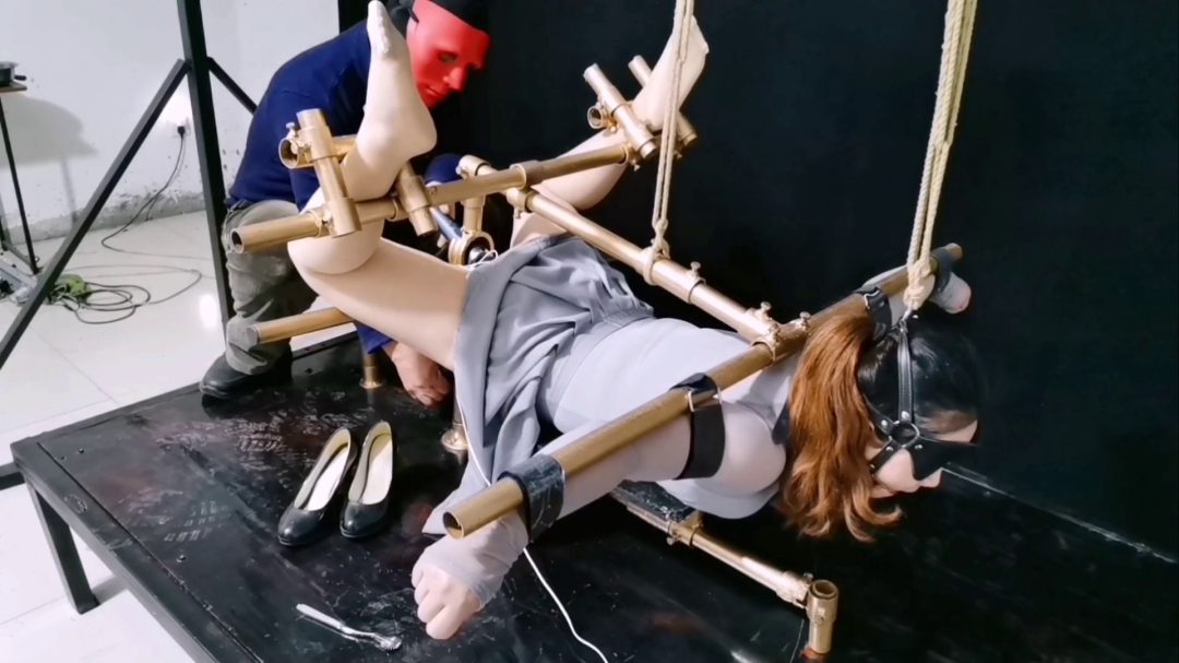 为梦涵精心设计一款多功能K9架-6