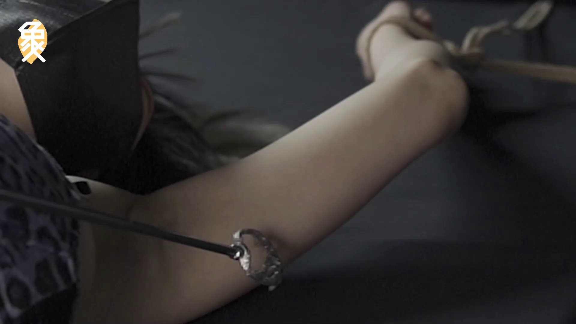 ed3b90fc441e9cc8720c0956333039b5