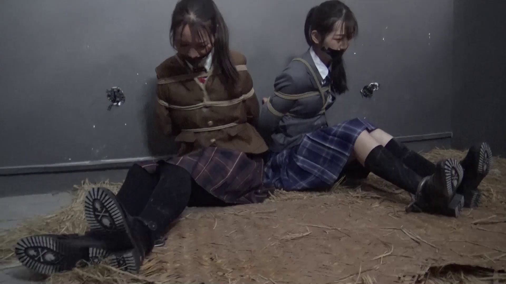 ee8fc6c63025f618bba80b39a08afdf2