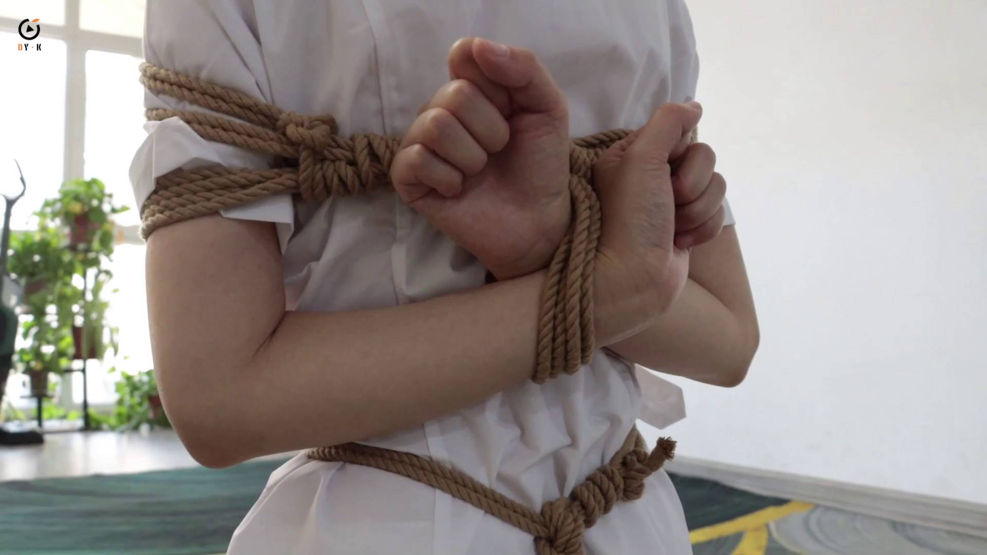 eefe3451bf75ba71d3da3b019fe68fb6