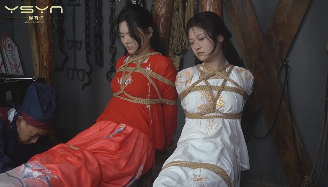 【毒案下的妻妾劫】王员外的大老婆被毒死二老婆（柳依）三老婆（柳亦菲）被押赴大堂受审大刑屈打成招签字画押-5