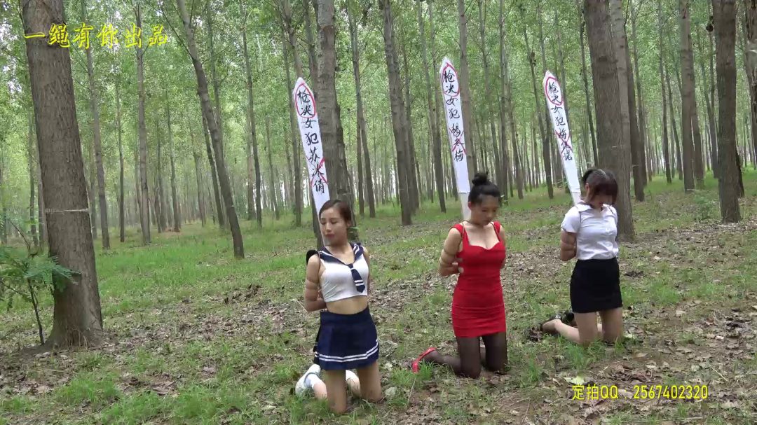 三姐妹的刑场之路(苏冰倩杨冬梅梅佳诺）-3