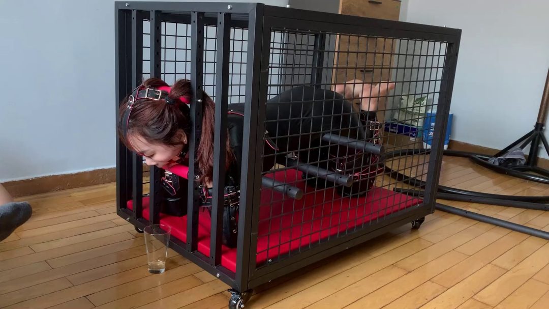 人形犬之铁笼囚禁！胶衣马具口球收集口水，sptk-6