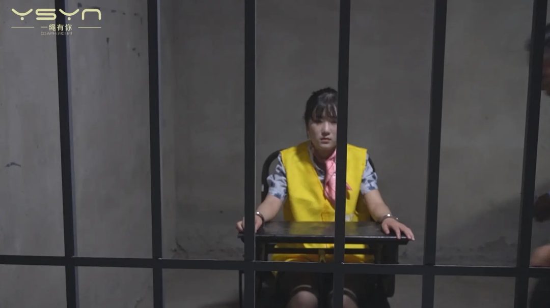 【堕落的云端梦】曾经怀揣蓝天梦想的空姐苏瑶一步之差陷入毒念深渊入牢判死刑枪决-9