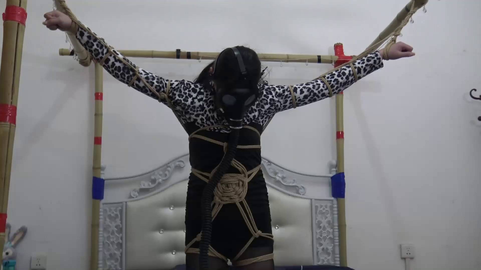 f823ea1483f9063fba5206a9c51d9fa6