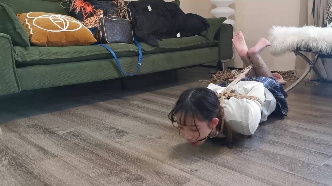 定拍珊珊驷马放置-5