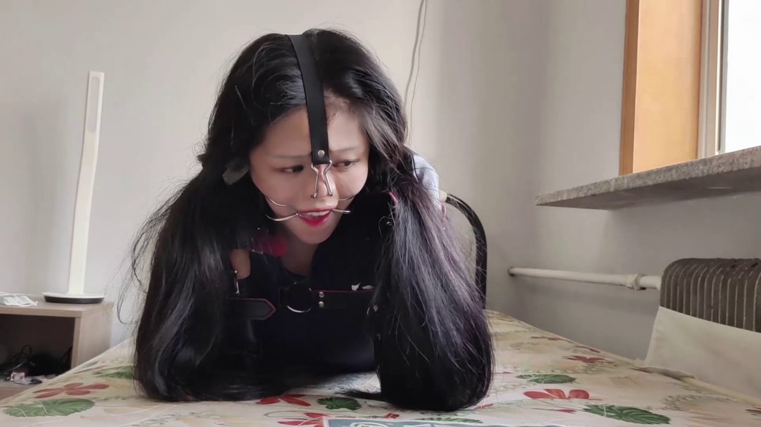 人形犬诺诺 马具口球堵嘴 小舔犬口水收集-8