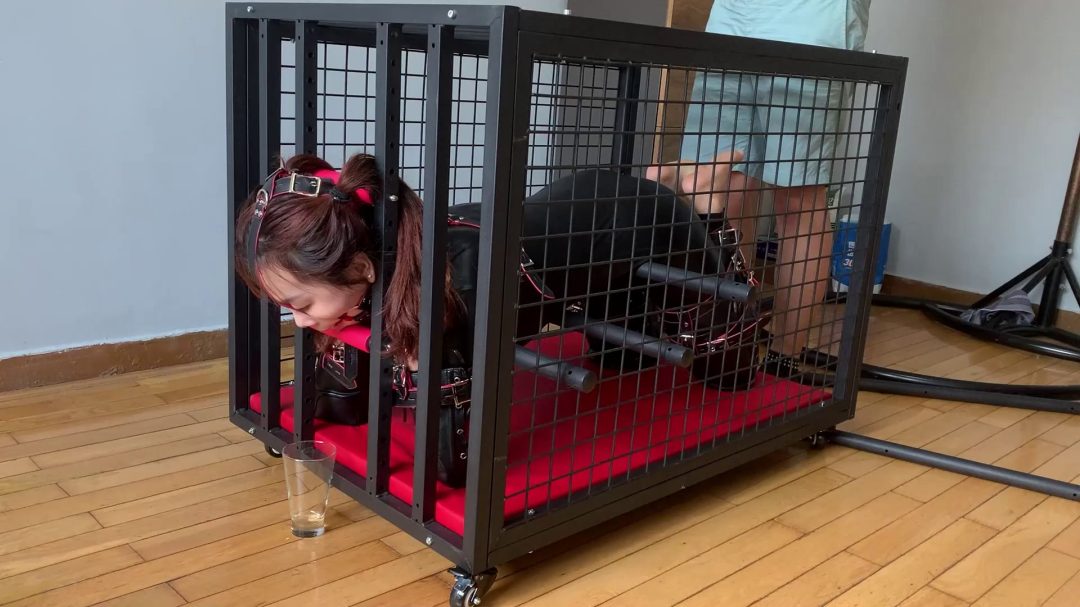 人形犬之铁笼囚禁！胶衣马具口球收集口水，sptk-7